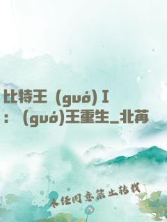 比特王國(guó)Ⅰ: 國(guó)王重生